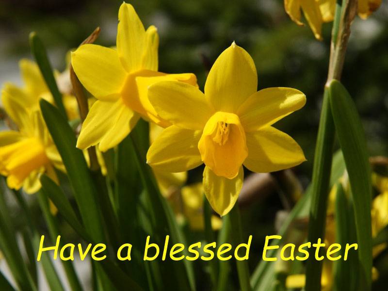 Have a blessed Easter