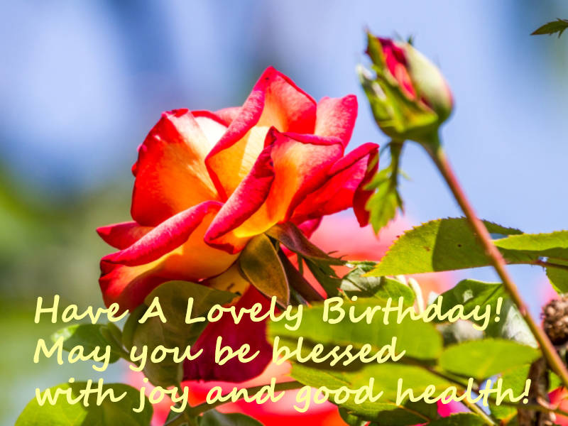 Have A Lovely Birthday! May you be blessed with joy and good health!