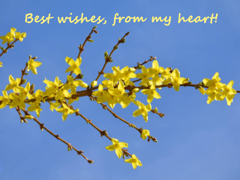 Best wishes, from my heart!