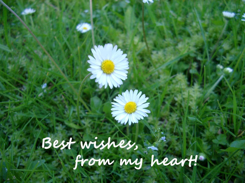 Best wishes, from my heart!