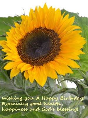 Wishing you A Happy Birthday! Especially good health, happiness and God’s blessing!
