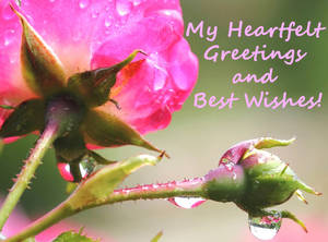 My Heartfelt Greetings and Best Wishes!