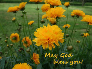 May God bless you!