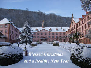 Blessed Christmas and a healthy New Year