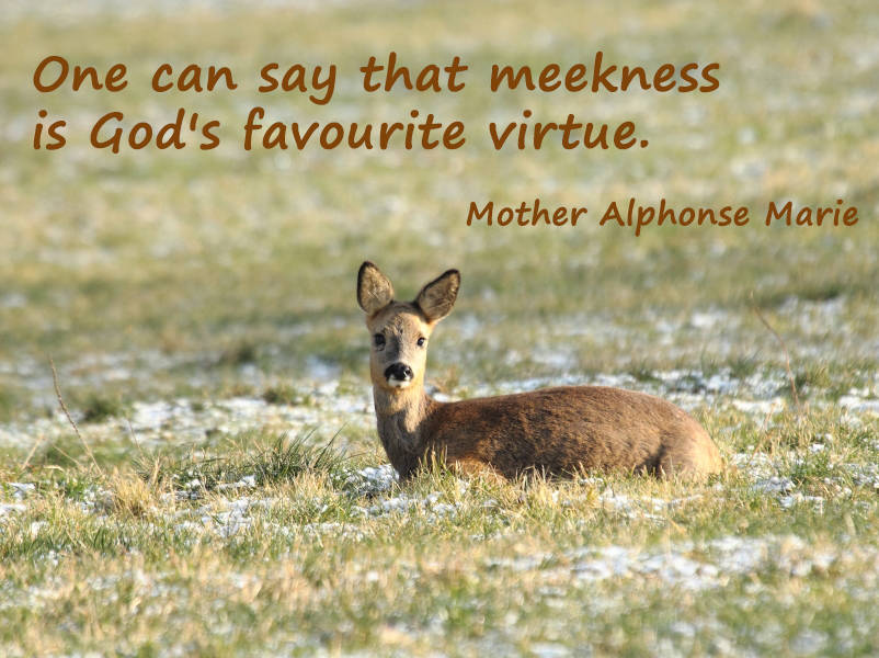 One can say that meekness is God's favourite virtue.