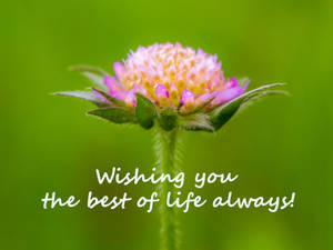 Wishing you the best of life always!