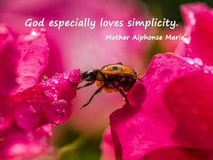 God especially loves simplicity.